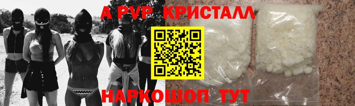 APVP крисы CK  Вход с VPN  дарнет шоп  A PVP  Горячий Ключ  A PVP СК  А ПВП СК 