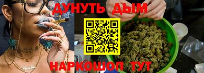 шишки Гатчина