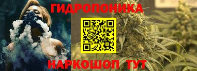 метадон Гай