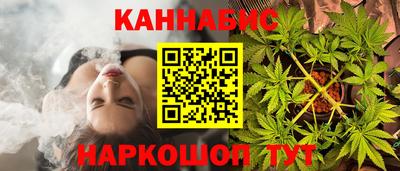 шишки Гатчина