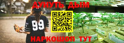 метадон Гай
