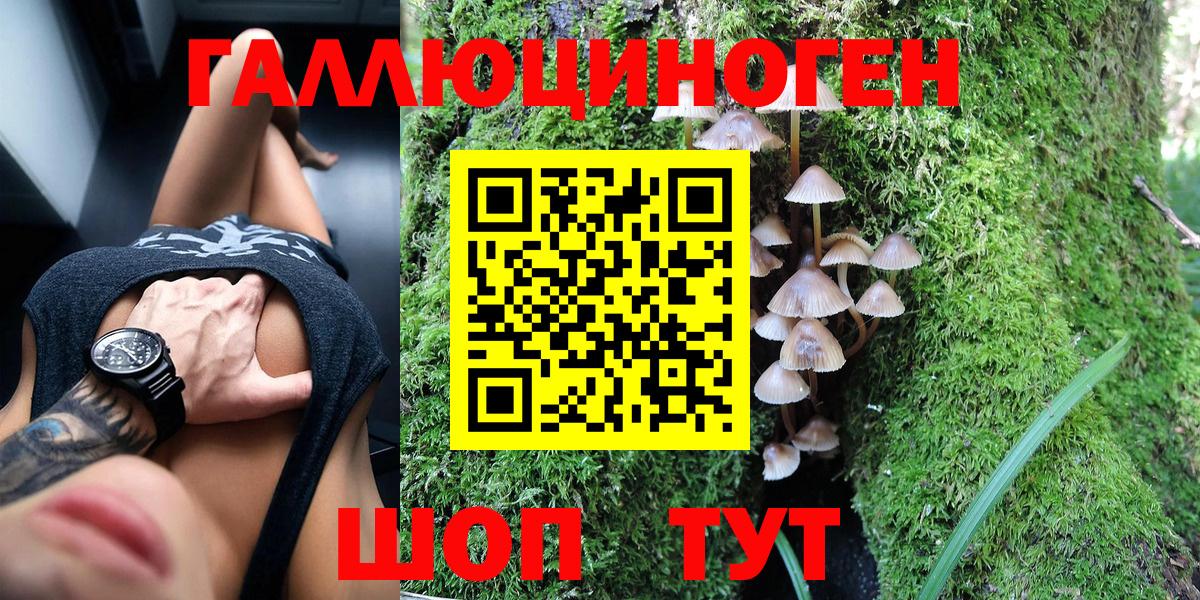 Псилоцибиновые грибы мухоморы  Галлюциногенные грибы Magic Shrooms  Вход с VPN  Горячий Ключ 