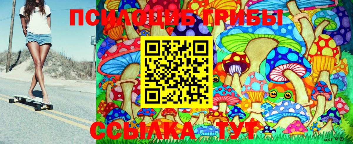 Галлюциногенные грибы Psilocybine cubensis Горячий Ключ