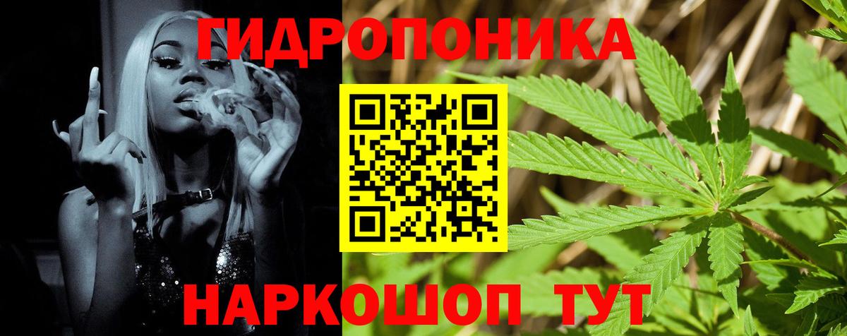 Горячий Ключ  Бошки Шишки OG Kush  Марихуана план  Каннабис VHQ  Вход с VPN  Бошки Шишки индика 